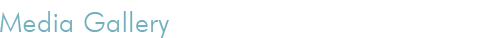Media Gallery